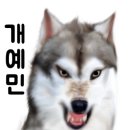 닥터 호오 동물병원 이미지