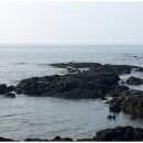 죽도마을 공중화장실 이미지