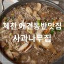 사과나무집 | ::제천 애견동반 맛집::청풍호 애견동반식당 소불고기맛집, 사과나무집