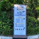 월드자동차마을 | 경주월드 어트랙션 후기! 뽀뽀와 또또의 놀이기구 도장깨기
