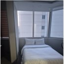 용인트리니호텔 | 용인 더트리니 어반스위트 호텔 솔직 후기 🏨✨