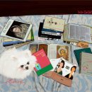 학마을도서관 이미지