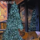 뚱새스테이 이미지