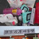 경기알뜰매장 | 물티슈가 100원!? 경기광주 창고형마트 알뜰공감 득템 후기