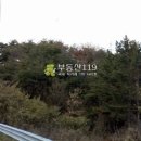 울산 남구 두왕동 / 임야 야산, 기도원부지 과수원용지 납골당용지 절부지 버섯재배부지 명당묘지용지 요양원부지 / 1 이미지