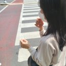 살롱(Salon)12.4