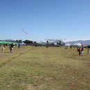 구리 한강시민공원(코스모스축제) 이미지