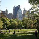 센트럴파크로 이미지