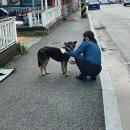 경포교차로 부근 이미지