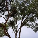 화산마을 이미지