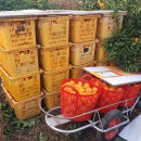 달콤하니 이미지