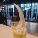오슬로펜션 | 3~4일차_01_제주신라호텔 산책로,더파크뷰 뷔페(점심),귤밭사진관,오슬로,스위트호텔제주,보말칼국수(저녁)