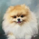 강아지그림