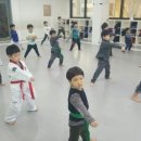 장안태권도 이미지