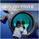 단양아쿠아리움 다누리 관람후기 할인팁