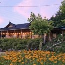 가람편백펜션 이미지