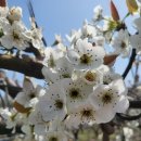 금산군농업기술센터 이미지