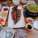 털보고된이 이미지