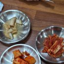 대포칼제비 | 제주 중문 보말칼국수 대포칼제비