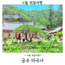 찬란하고 아름다운 건축 문화 유산 | 공주 사찰여행 세계유산 마곡사 주차 여름풍경