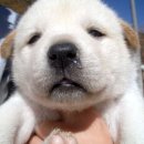 강북조은약국 이미지