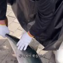 회뜨는집 이미지