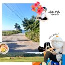 화의목장 | 공간 [제주]. 제주 여행 3주차 . 한치잡이체험 . 오는정김밥 . 숙성도 . 하하호호버거. 제주요가체험...
