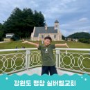 까치말진돗개농장 | 강원도 평창 가볼만한곳 대관령 실버벨교회 SNS핫플