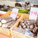 시온상회 이미지