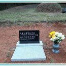 완주 평장묘조성 내가 직접 겪은 과정에서 얻은 작은 깨달음들