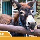 완주힐링팜치유농장