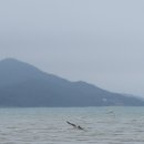 무안비치호텔 이미지