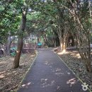 바다 감성 담은 여수 여행, 1박 2일 알짜 코스로 이미지