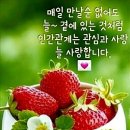 대성종합중기 이미지