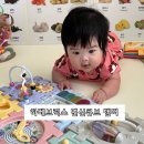 휴식가 | 5개월 아기 하베브릭스 변신큐브 뱀띠 후기 장난감 선물 추천