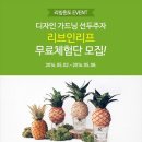 리프디자인 이미지