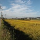 오산6-1 농로 이미지