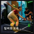 크로스핏 강남(352) 네이버블로그