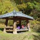 일월산자생화공원 네이버블로그