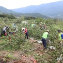 가곡동둔치주차장 이미지