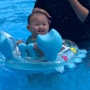 육림풀장 이미지