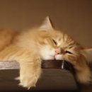 안산클라이밍 네이버블로그