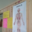 금왕지압안마원 이미지