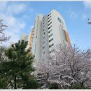 월산마을5단지 두산아파트 이미지
