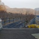 돈이농장 이미지