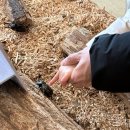 두꺼비농장 | 용인 [용인곤충테마파크] 주말 아이와 가볼만한 곳 곤충체험 후기