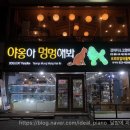 야옹아 멍멍해봐(미용) 이미지