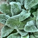 연세소리이비인후과의원 이미지