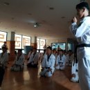 호동태권도 이미지