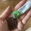 거제바다이야기